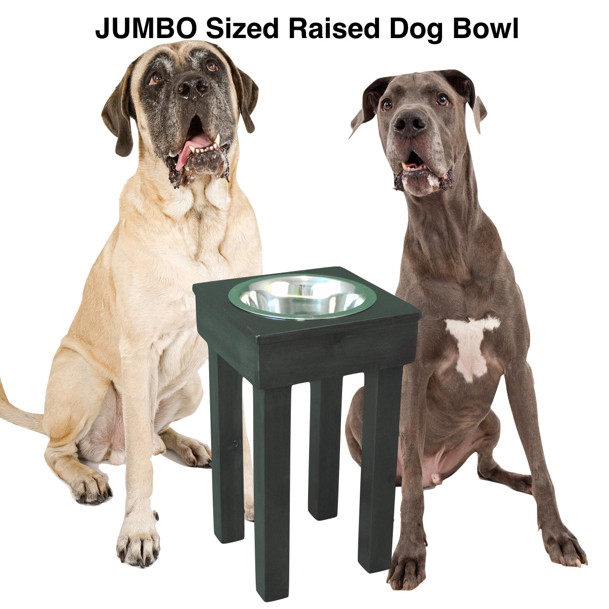 adengl elevated dog bowls for x-large and large dogs raised dog